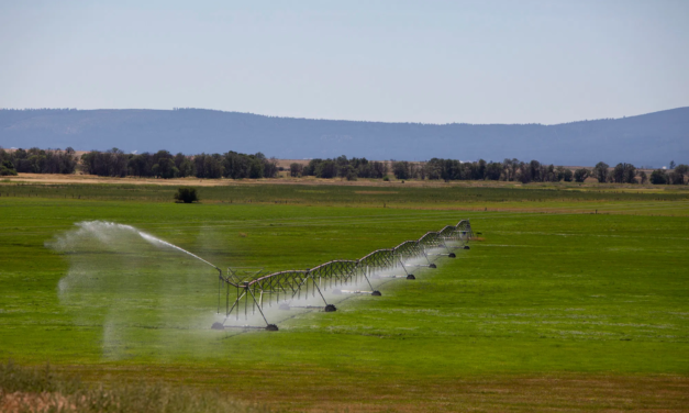 5 things you need to know about federal drought aid in California