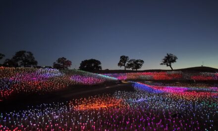 Sensorio: A Dazzling Journey Through Light and Art in Paso Robles