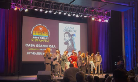 Napa Valley Stream Fest: Where Creators Take the Spotlight