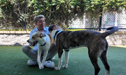 Marin Humane: More Than an Animal Shelter